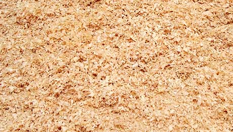 Sahtas recycle saw dust